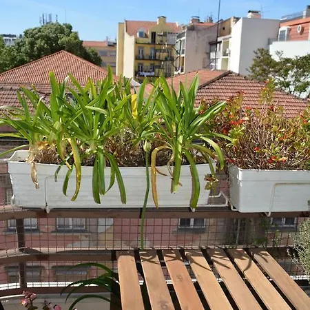 Spacious Flat Campo De Ourique